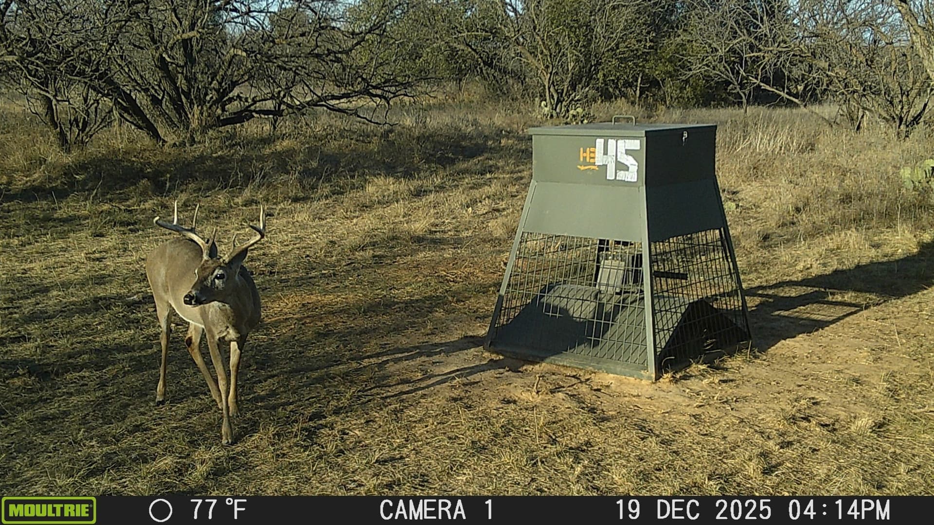 46.25 acres in Stephens County - photo 12