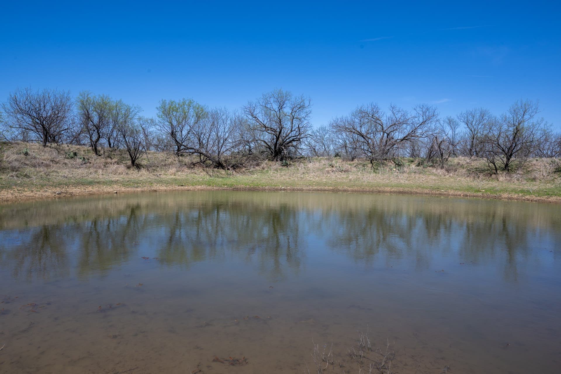 46.25 acres in Stephens County - photo 29