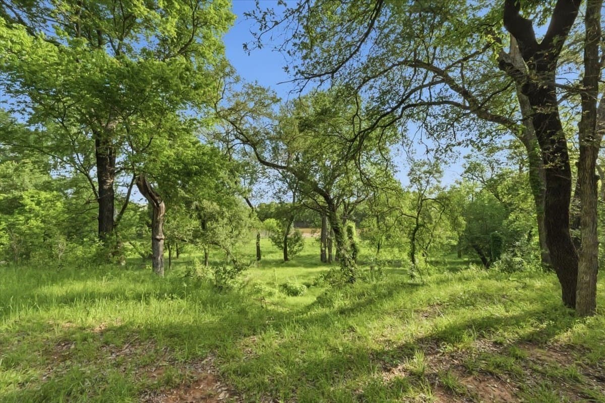18.41 acres in Palo Pinto County - photo 22