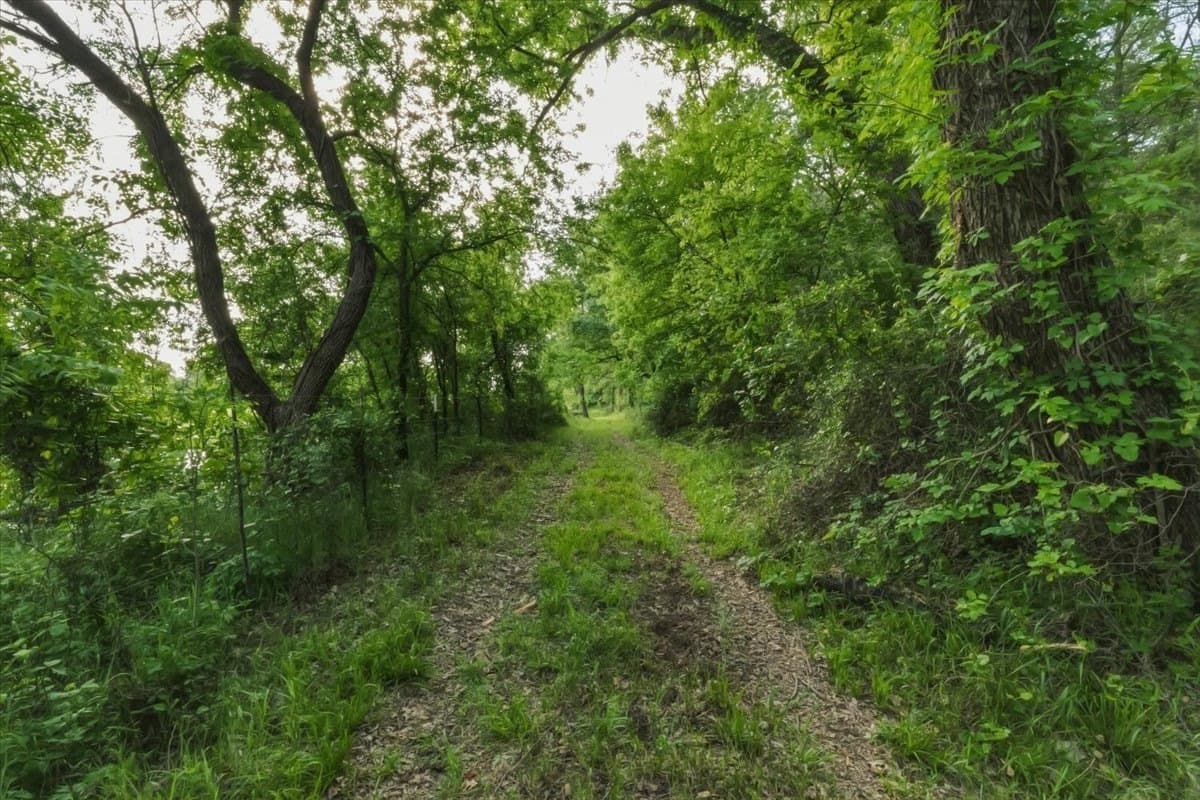 18.41 acres in Palo Pinto County - photo 6