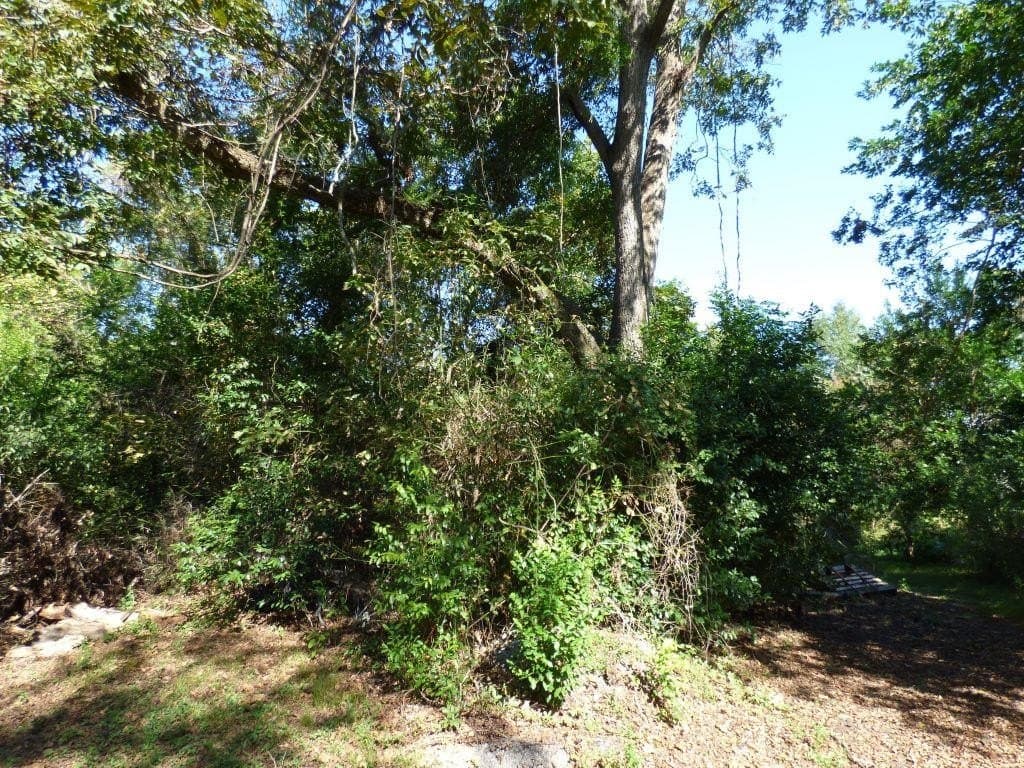 0.57 acres in Texas County gallery image 3