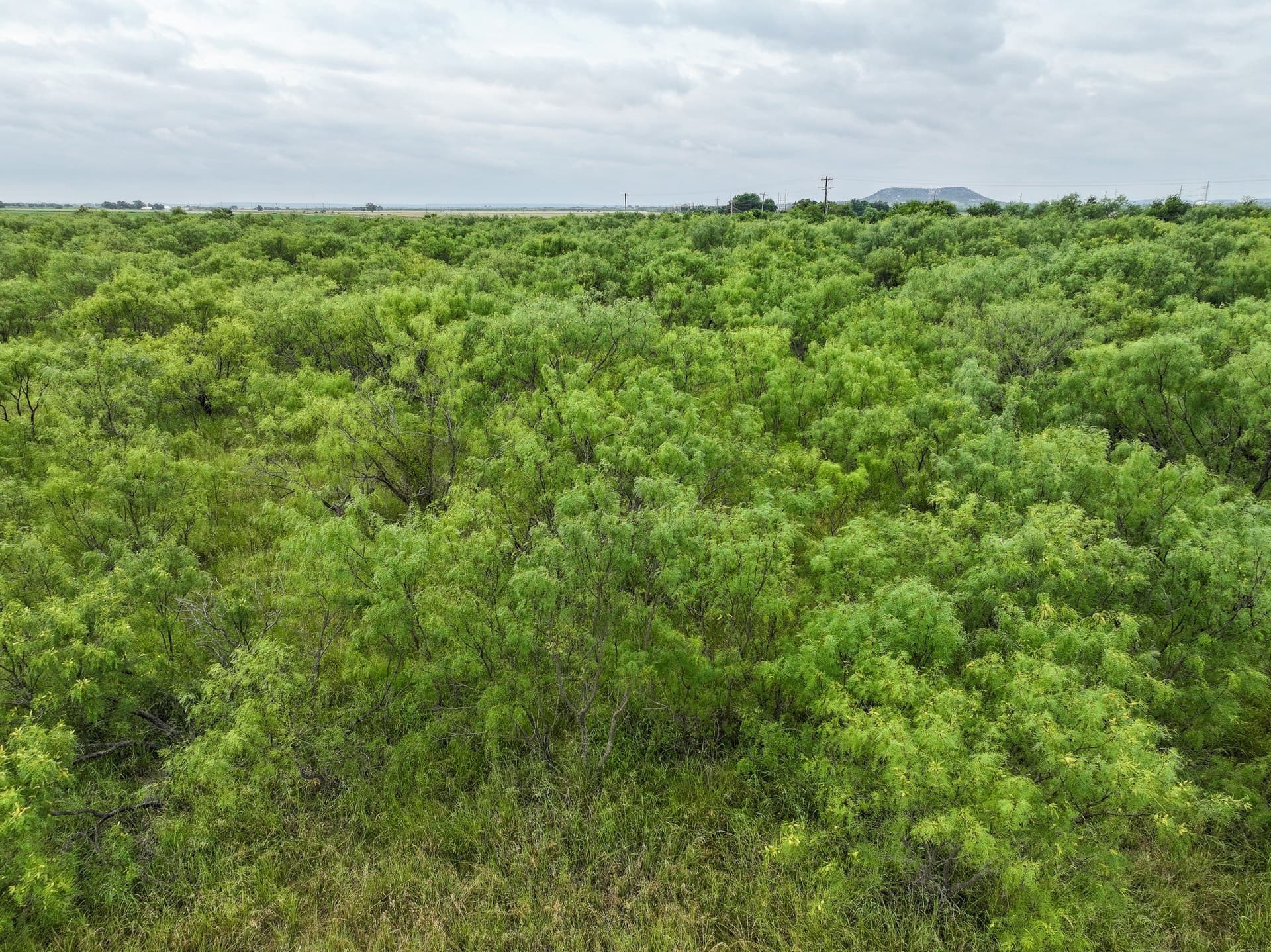 3.5 acres in Taylor County - photo 6