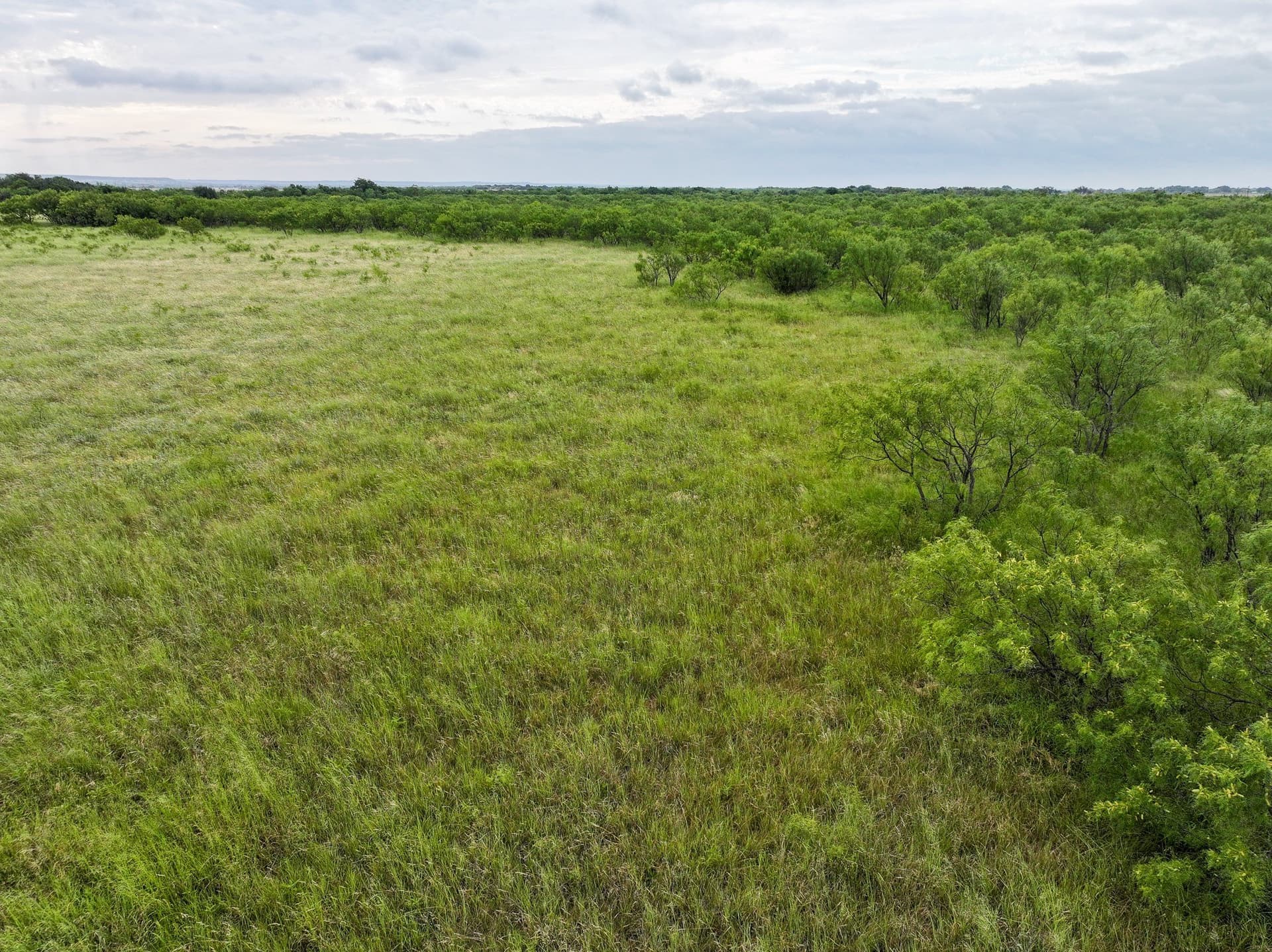 3.5 acres in Taylor County - photo 7