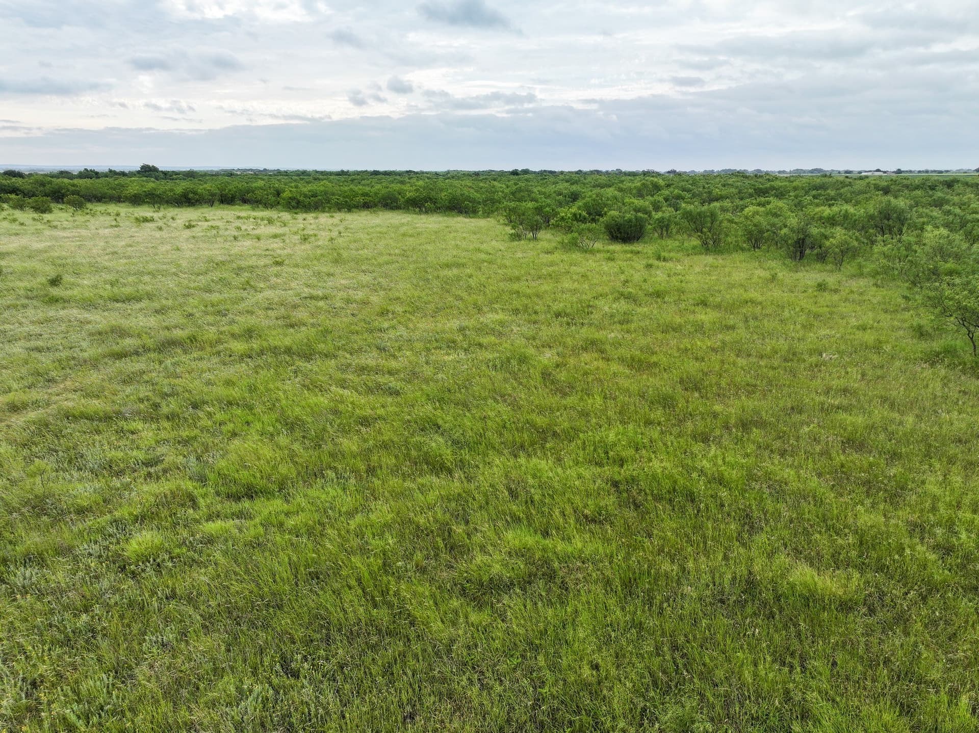 3.5 acres in Taylor County - photo 5
