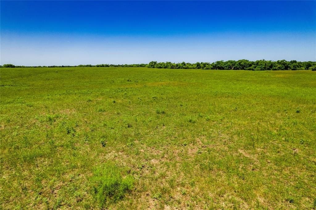 10 acres in Kaufman County gallery image 4
