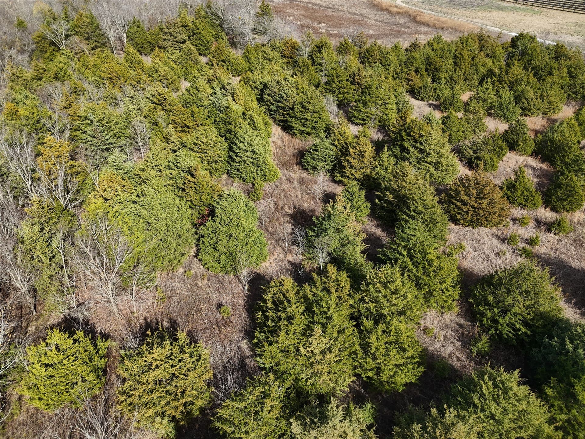 20 acres in Delta County - photo 2