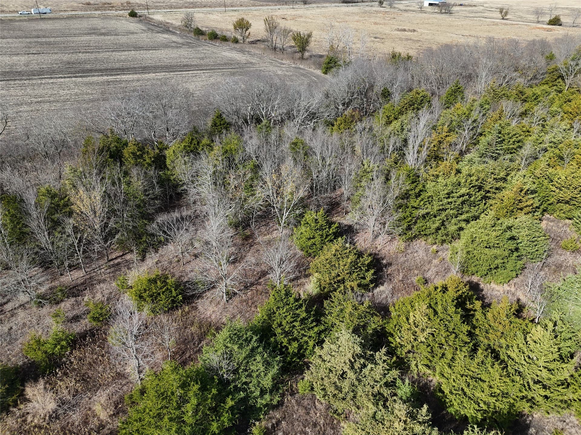 20 acres in Delta County - photo 7