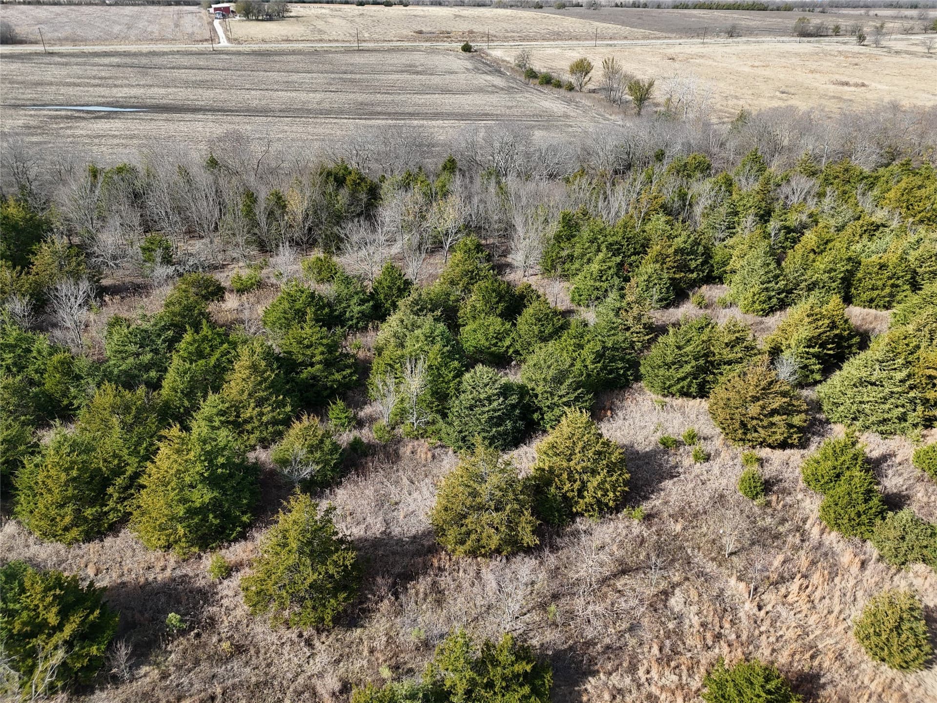 20 acres in Delta County - photo 3