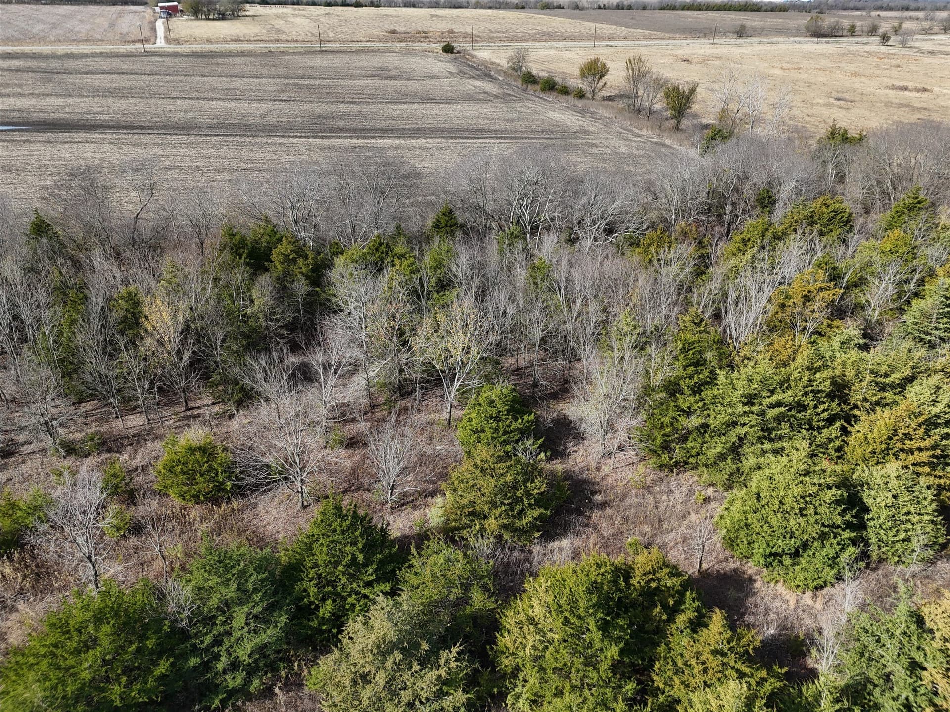 20 acres in Delta County - photo 9