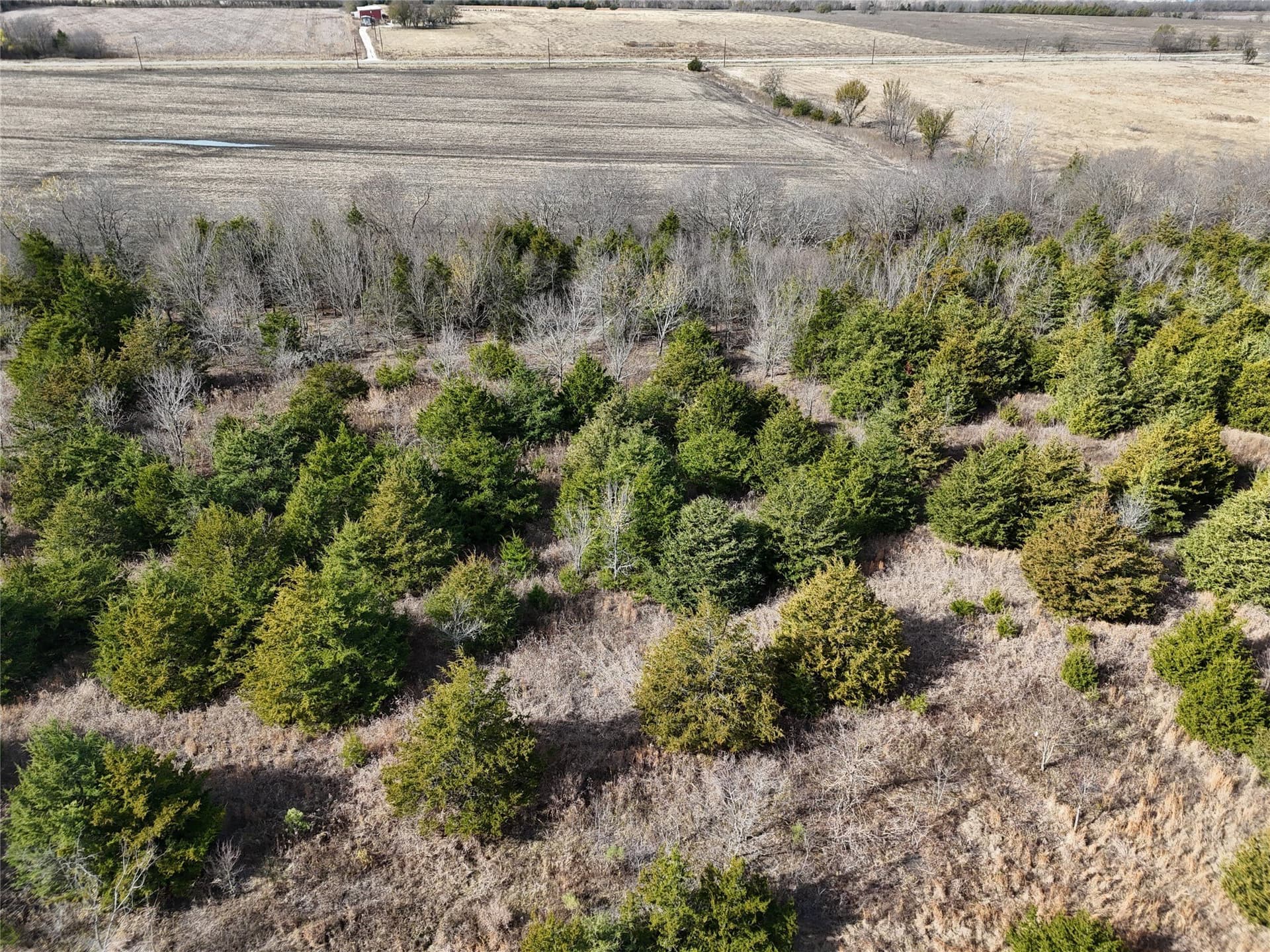 20 acres in Delta County - photo 8