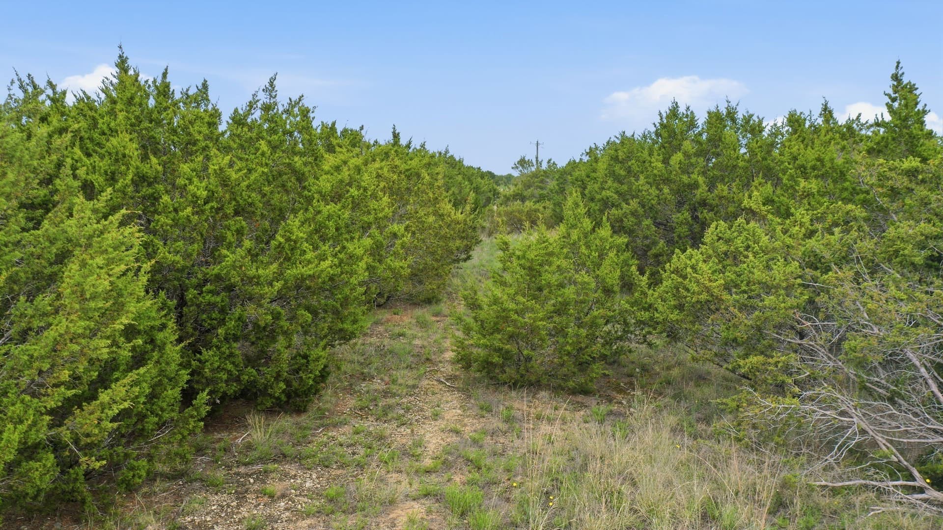 2.18 acres in Erath County - photo 13
