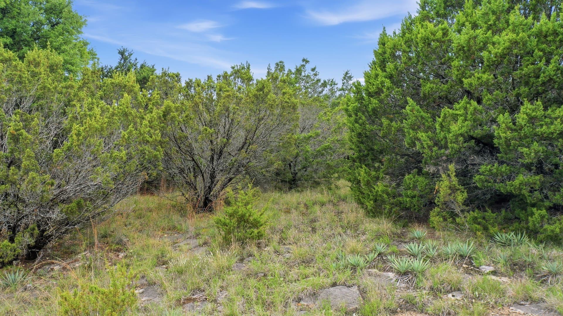 2.18 acres in Erath County - photo 12