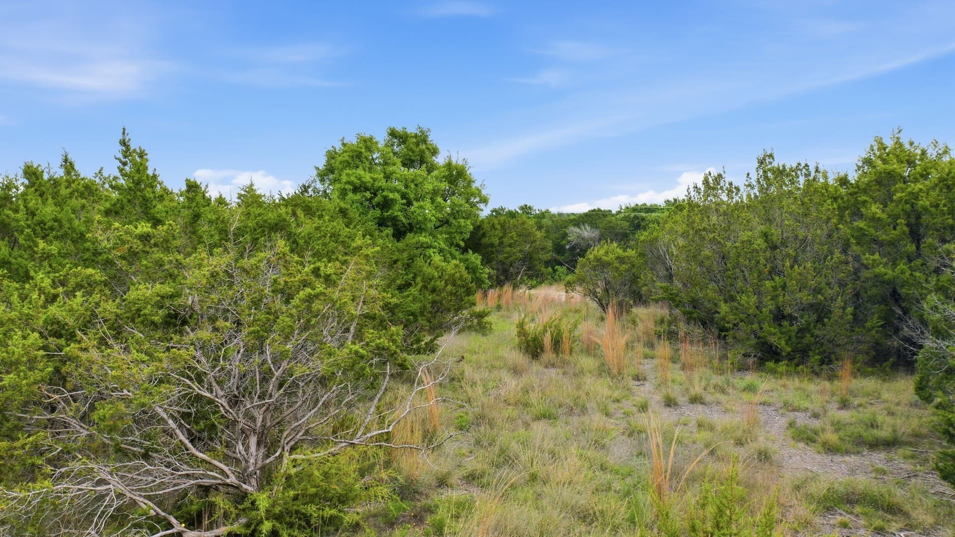 2.18 acres in Erath County - photo 14