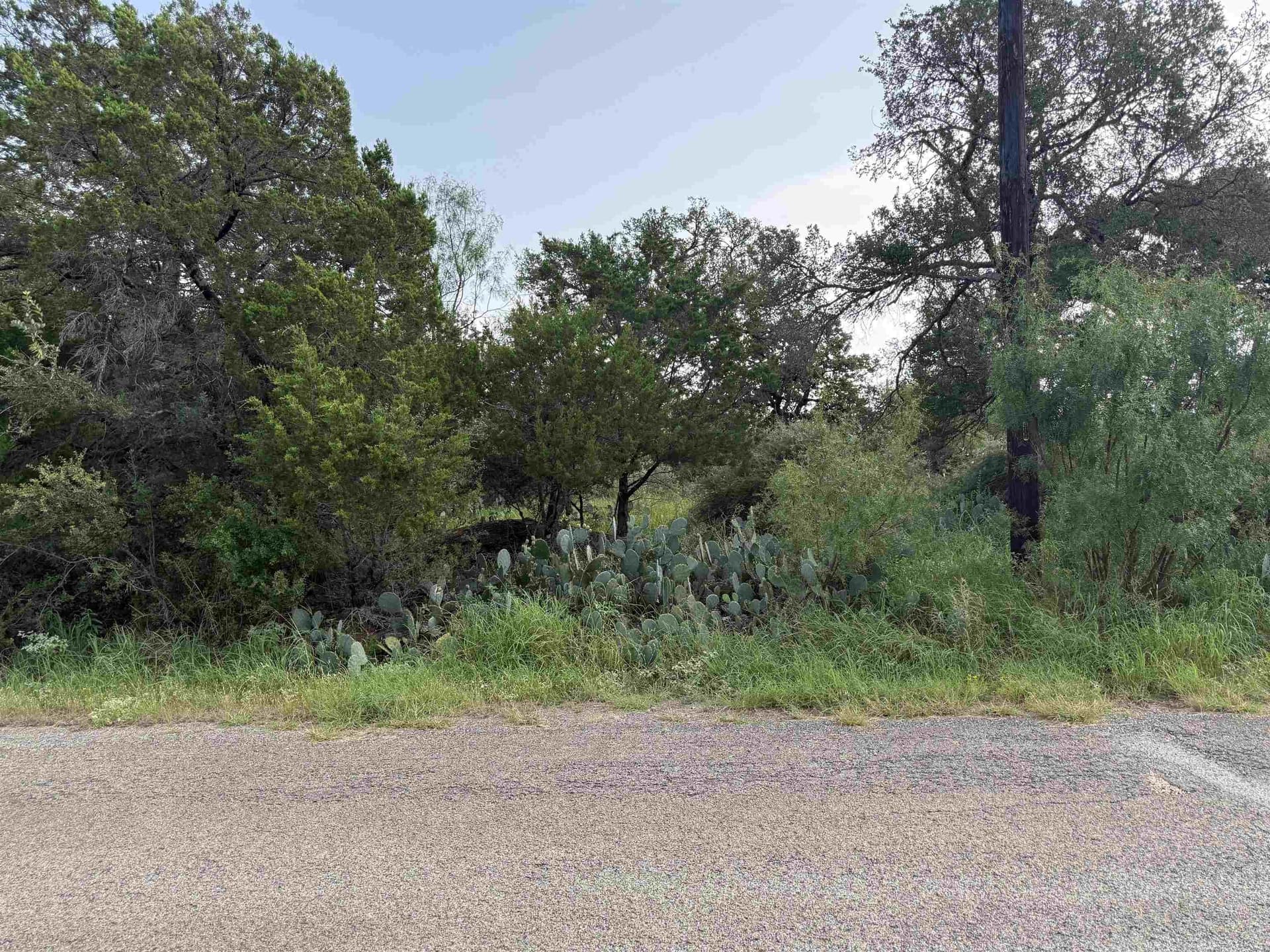 0.23 acres in Burnet County - photo 6