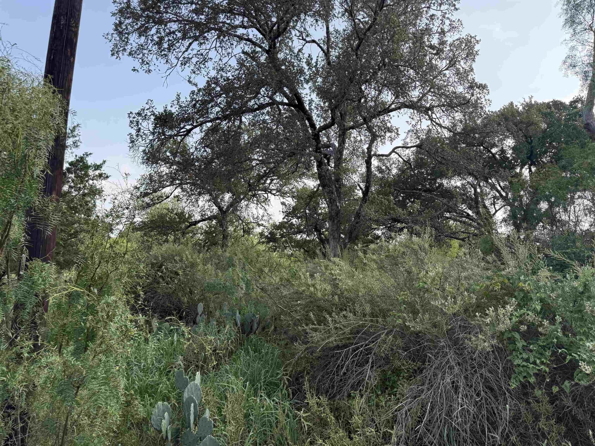 0.23 acres in Burnet County gallery image 2