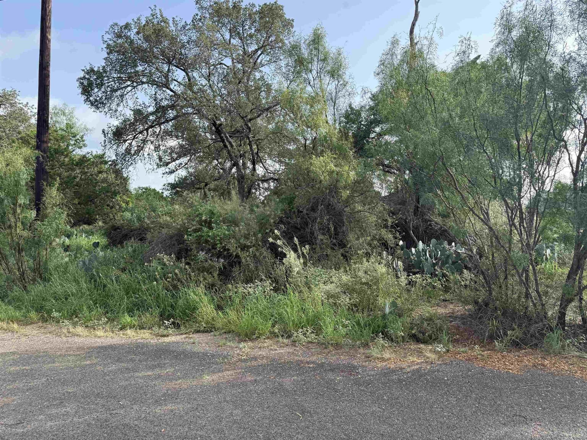 0.23 acres in Burnet County - photo 8