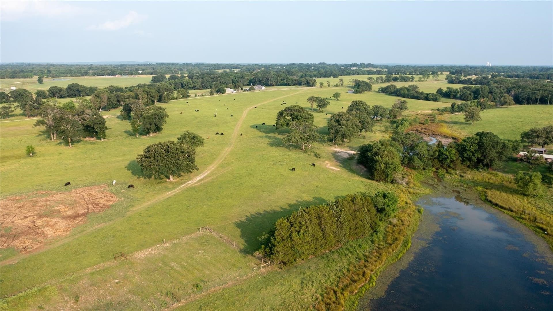 407 acres in Henderson County gallery image 2