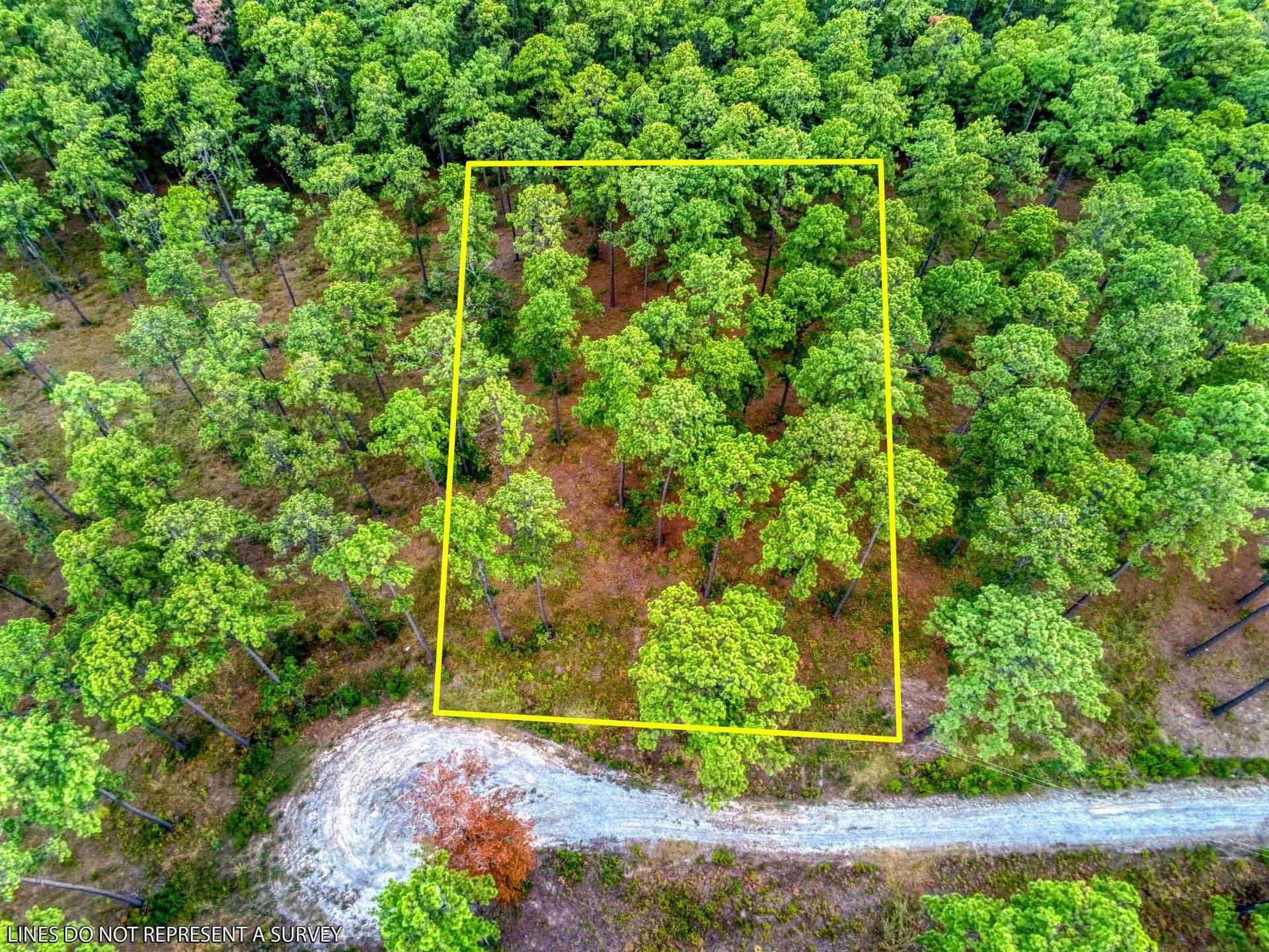 1.25 acres in Texas County gallery image 2