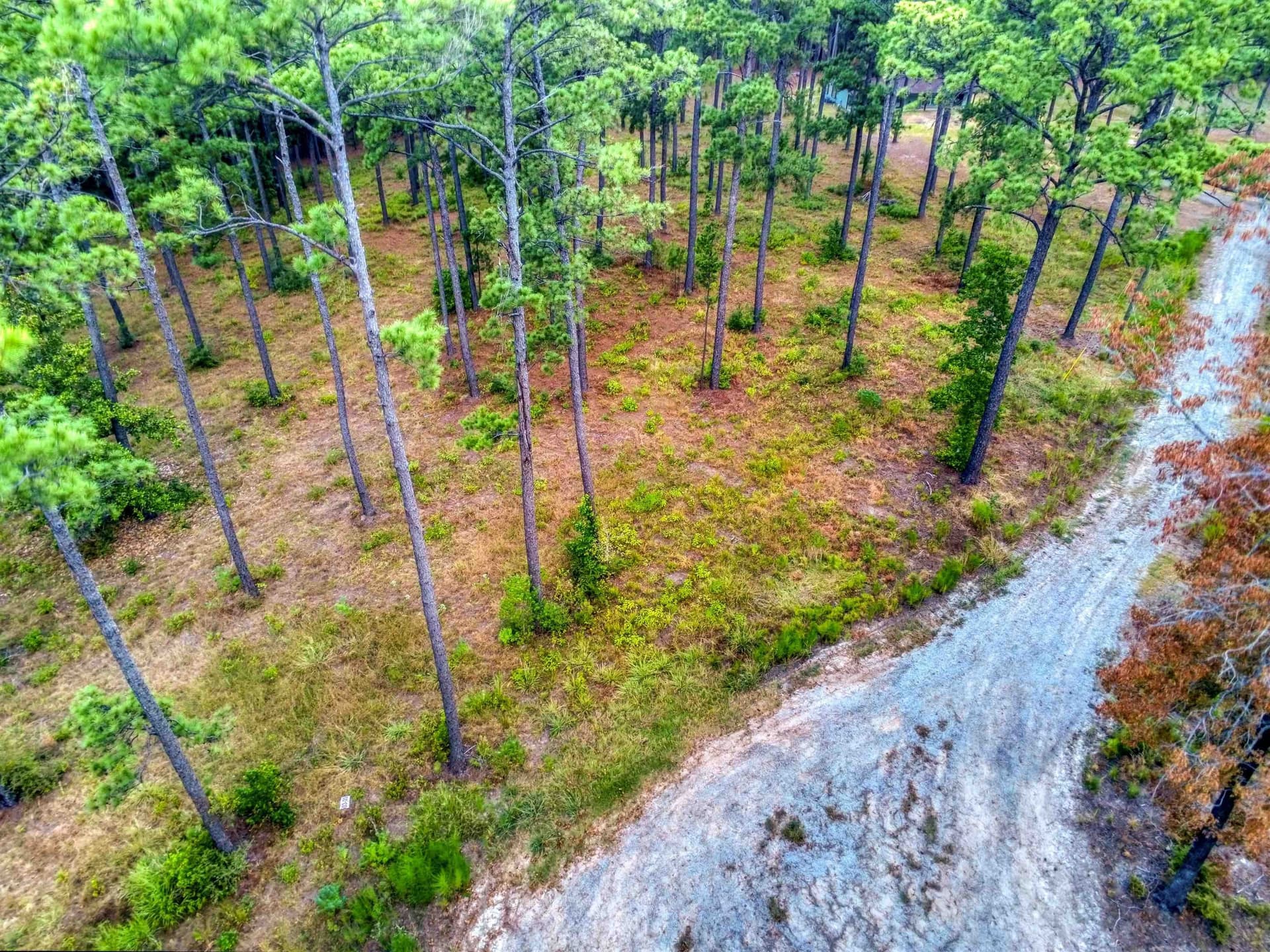 1.25 acres in Texas County gallery image 4
