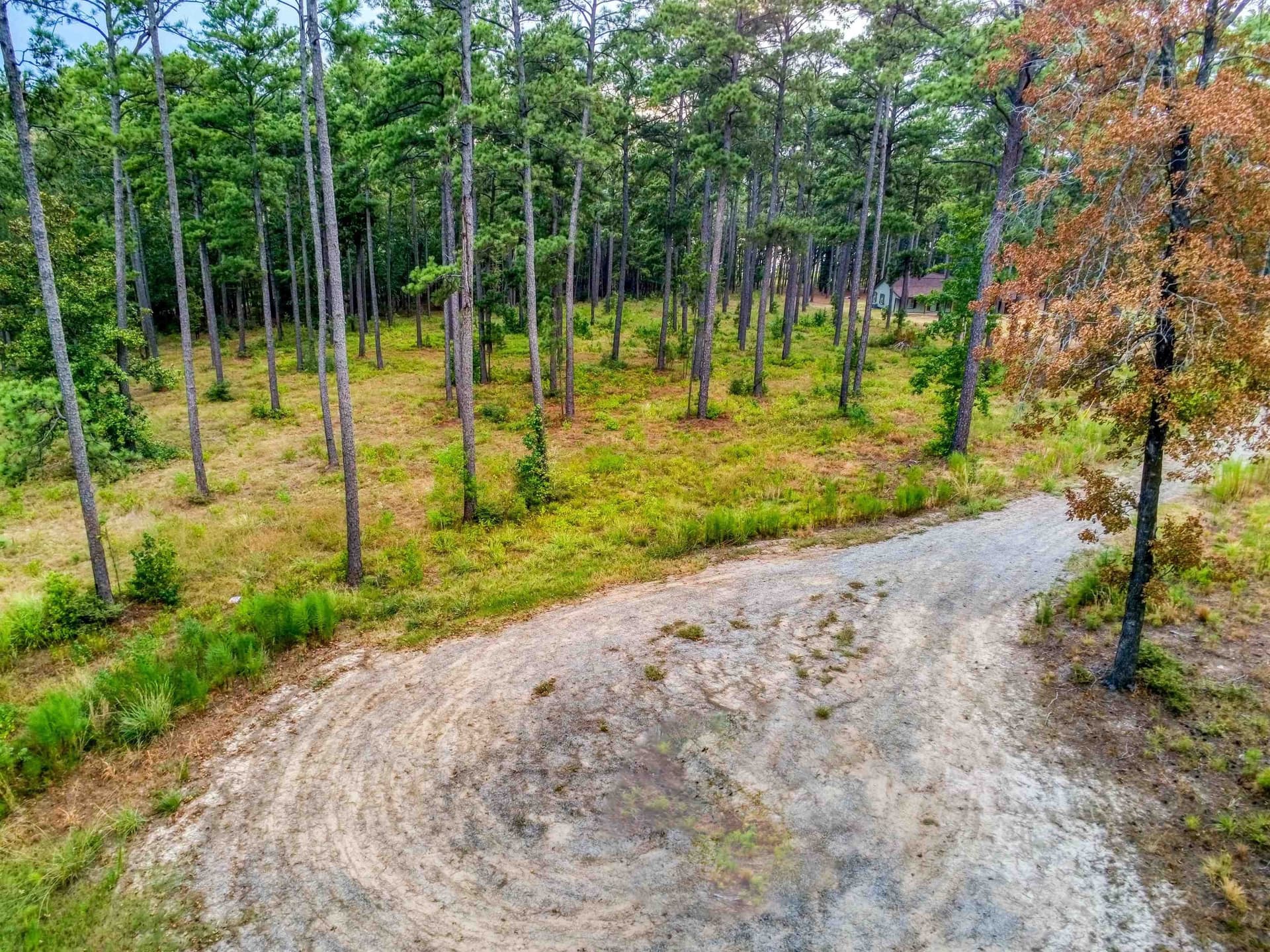 1.25 acres in Texas County featured view