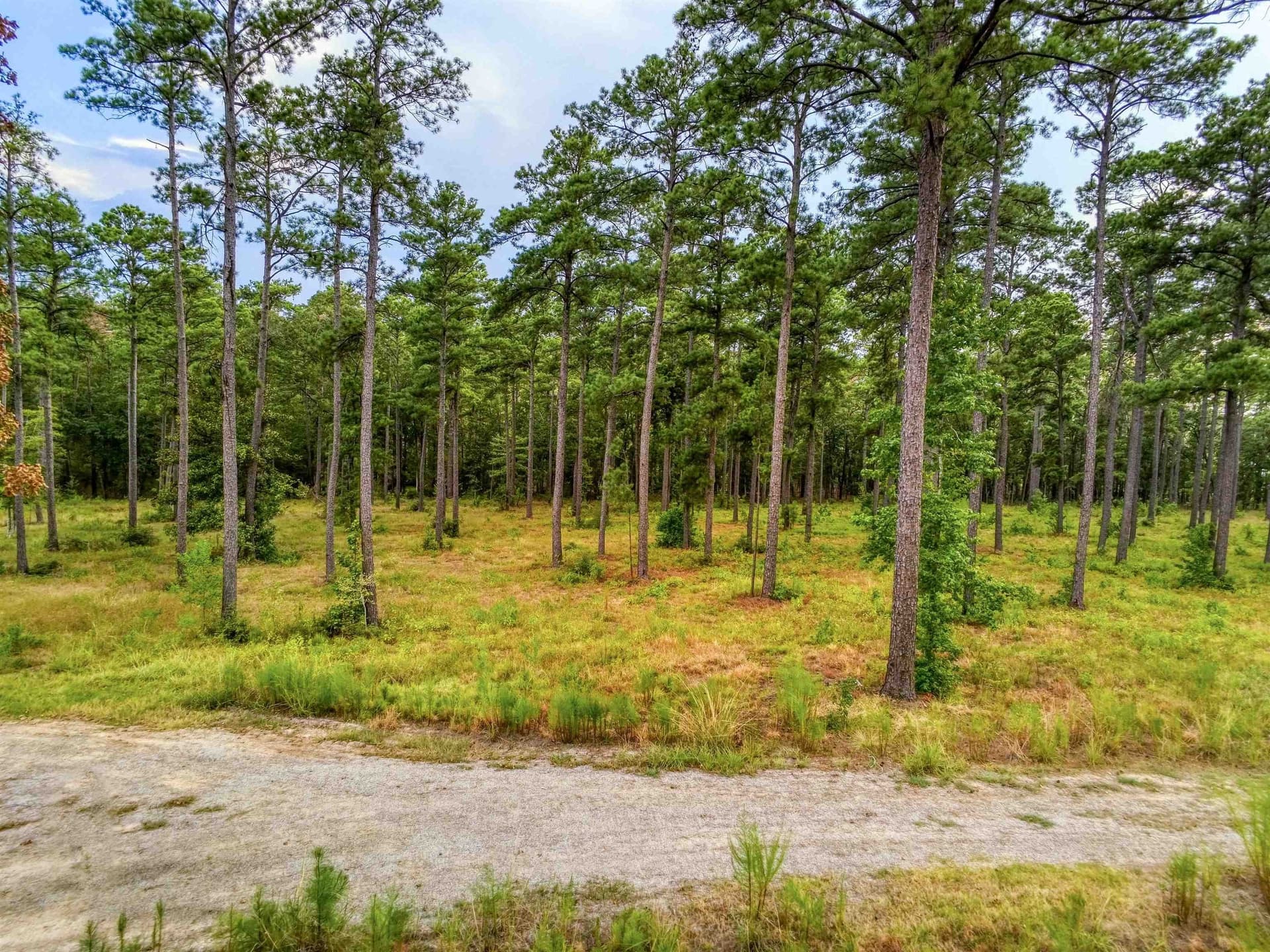 1.25 acres in Texas County - photo 6