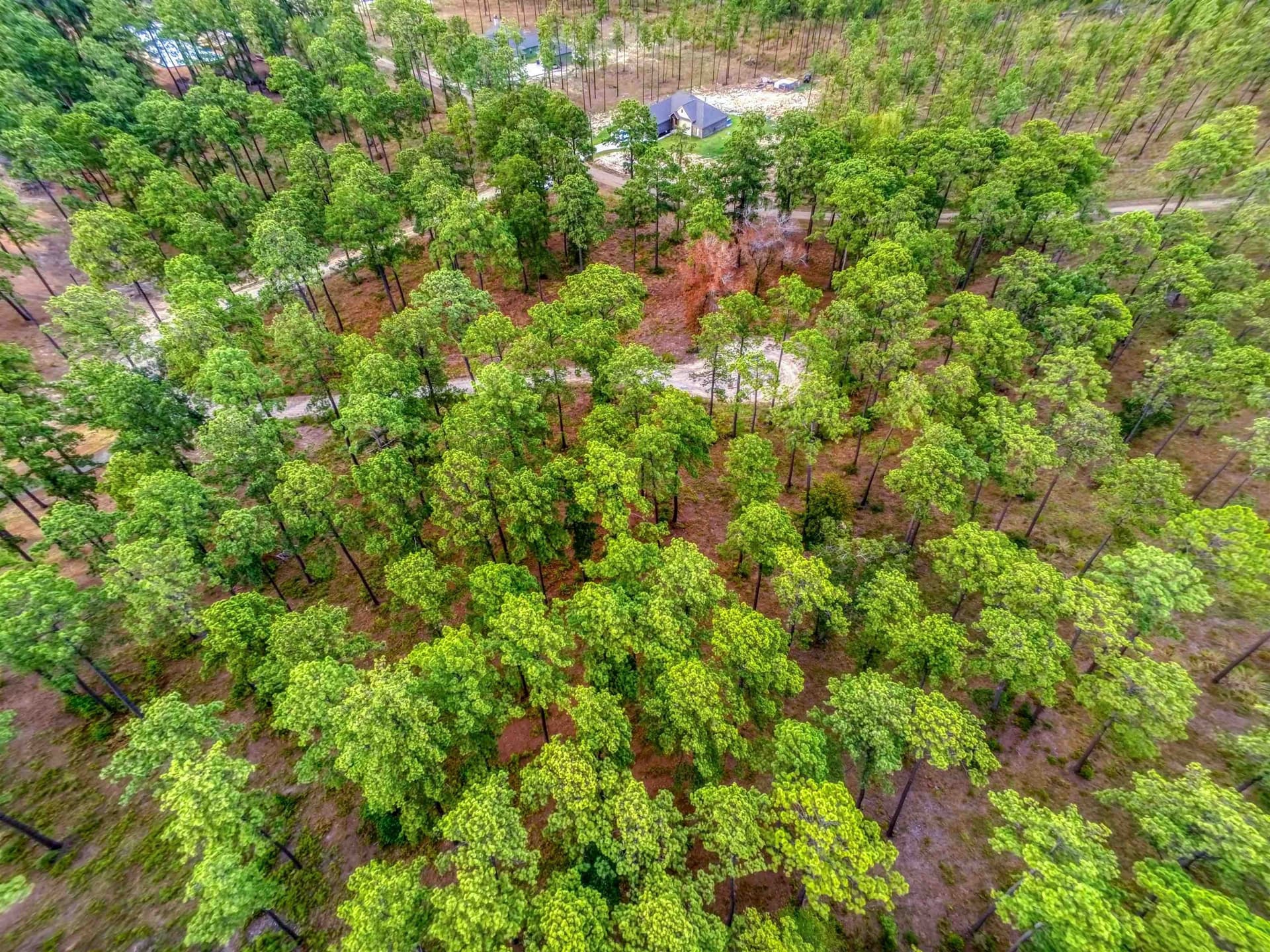 1.25 acres in Texas County gallery image 3