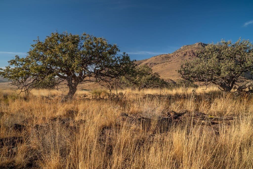 73.97 acres in Jeff Davis County - photo 20