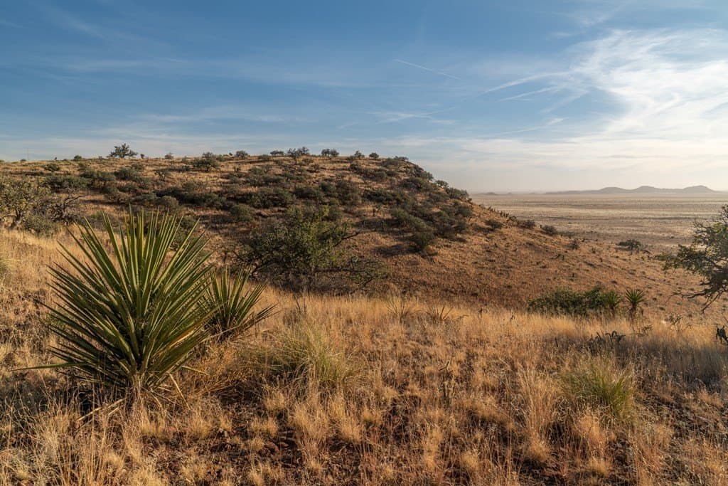 73.97 acres in Jeff Davis County - photo 21