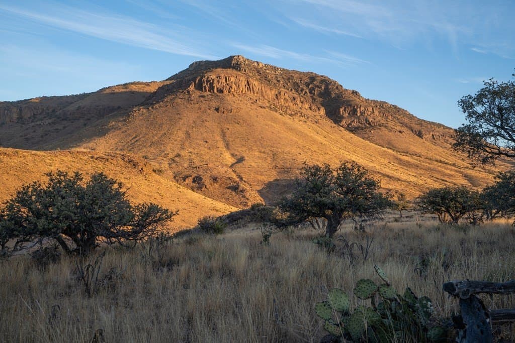 73.97 acres in Jeff Davis County - photo 6