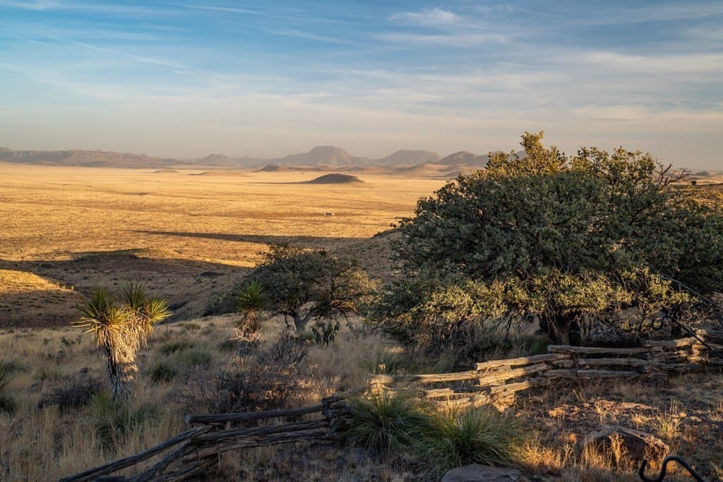 73.97 acres in Jeff Davis County - photo 7