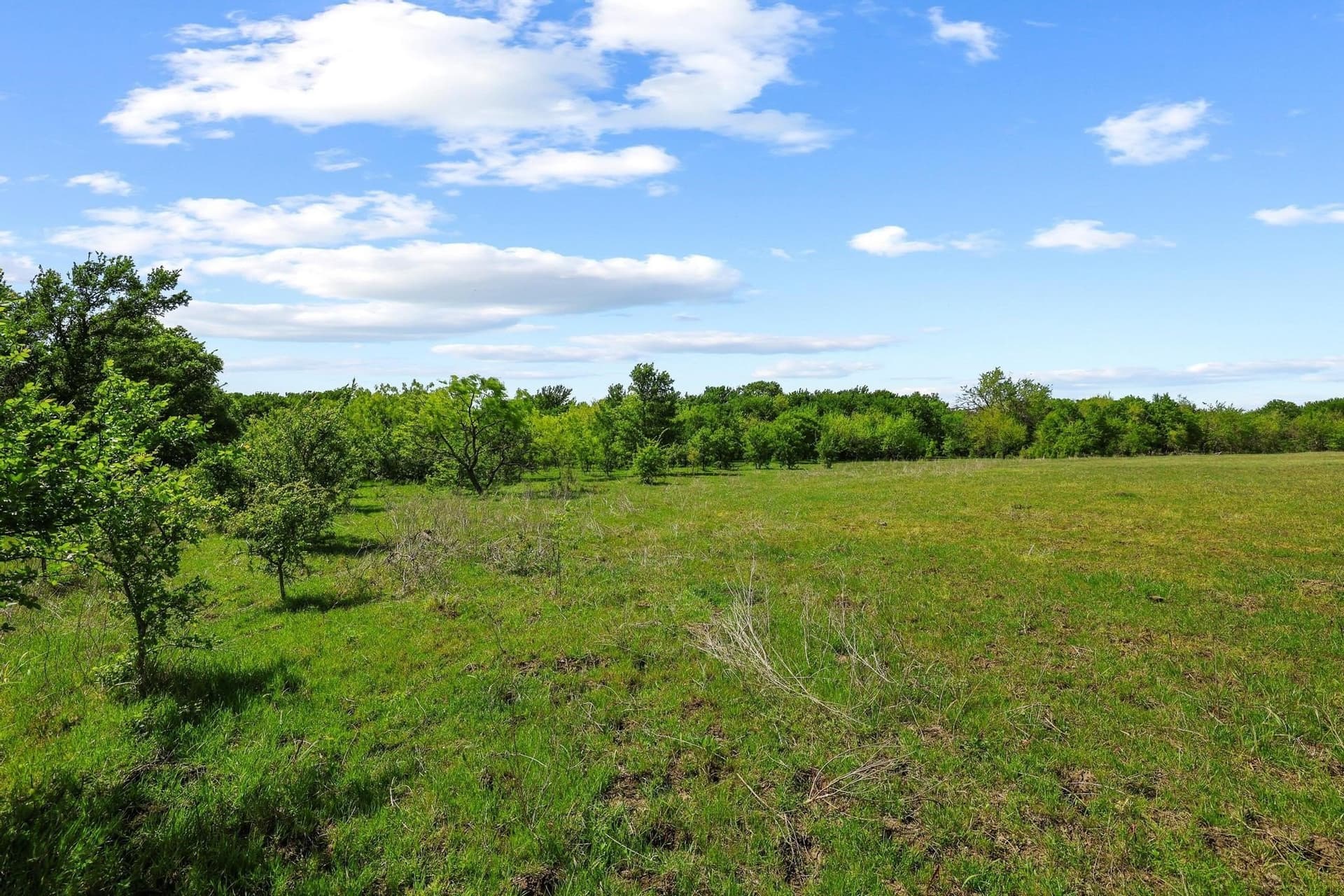 15.87 acres in Grayson County - photo 11