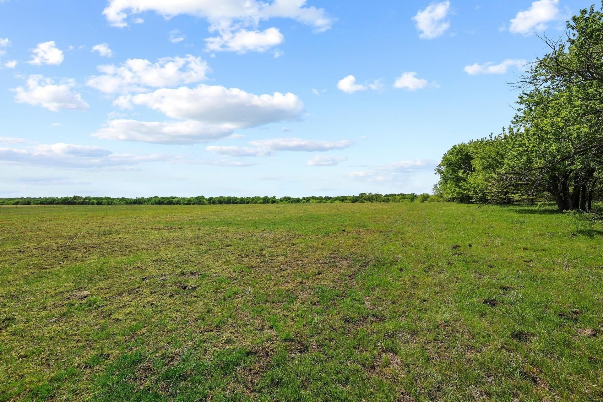 15.87 acres in Grayson County - photo 8