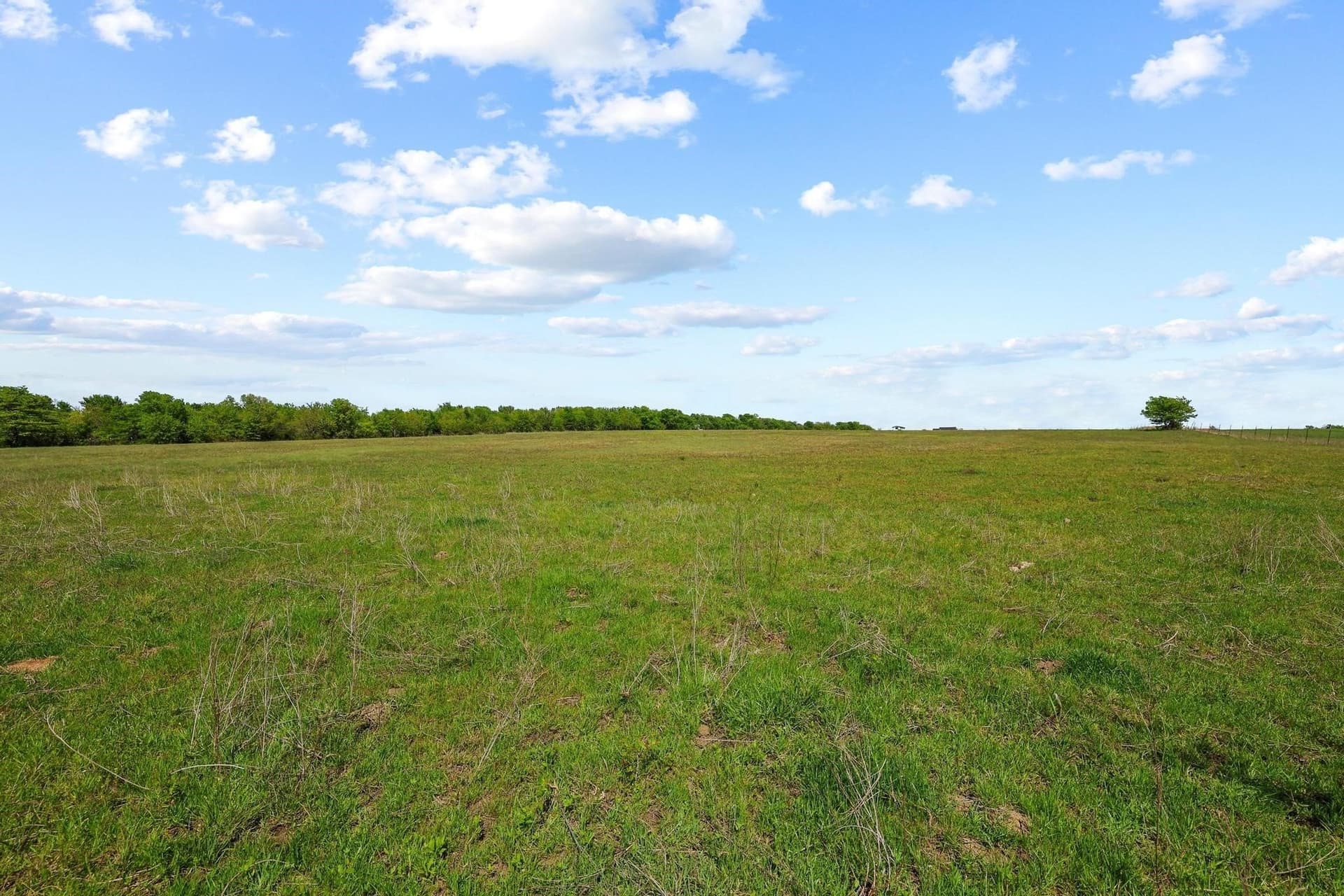 15.87 acres in Grayson County - photo 21