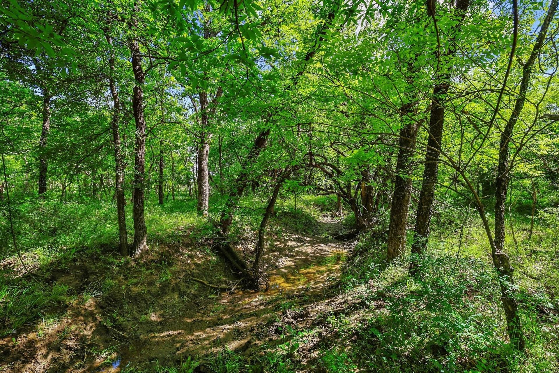 15.87 acres in Grayson County - photo 25