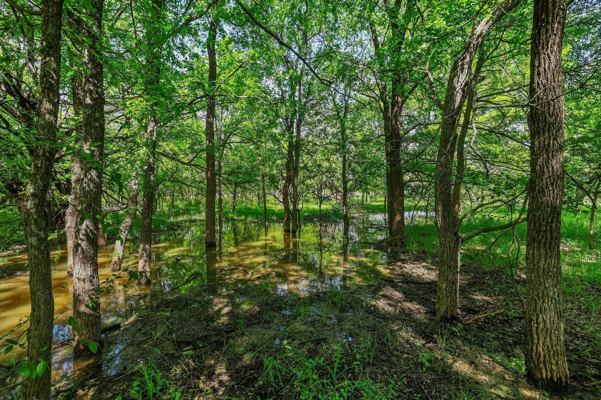 15.87 acres in Grayson County - photo 14
