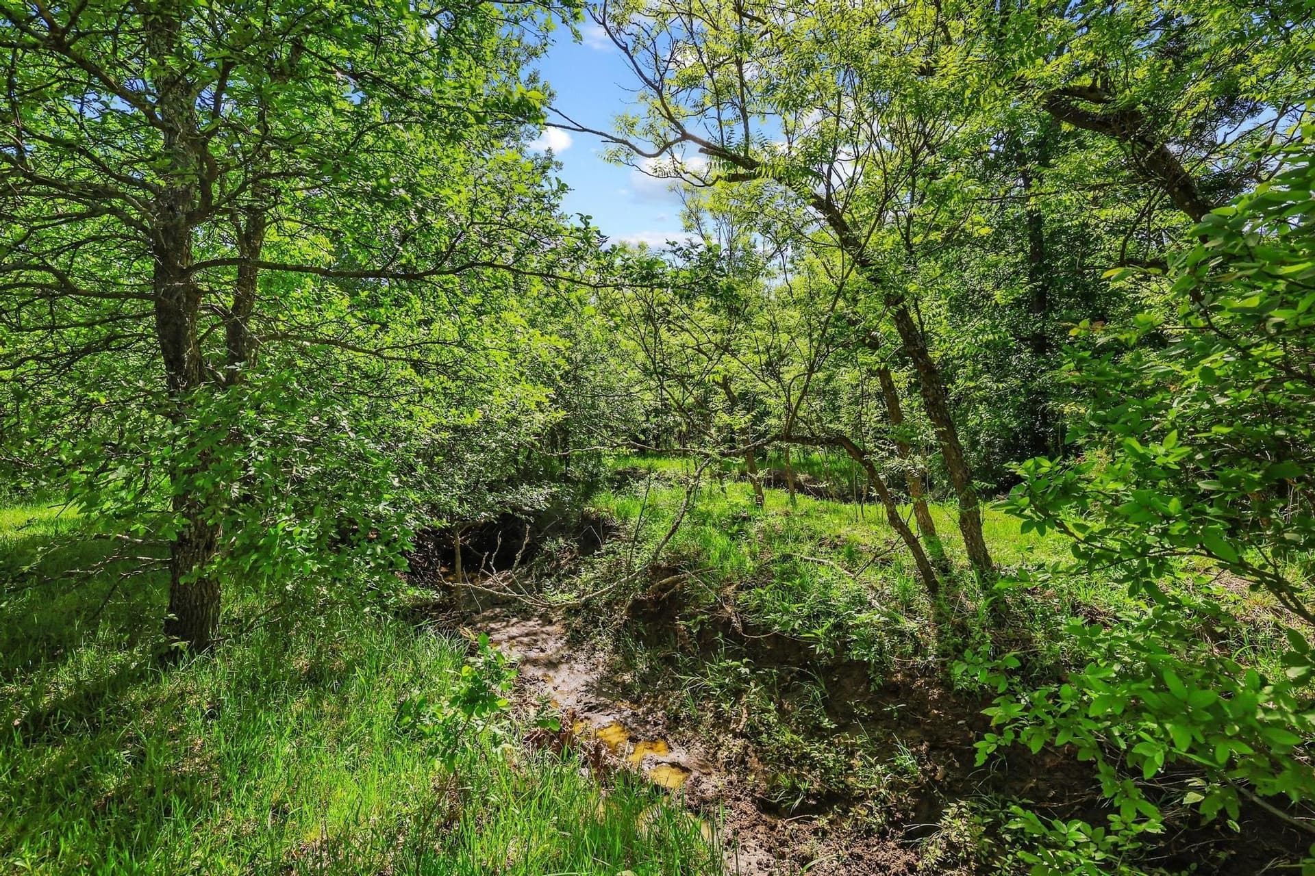 15.87 acres in Grayson County - photo 6