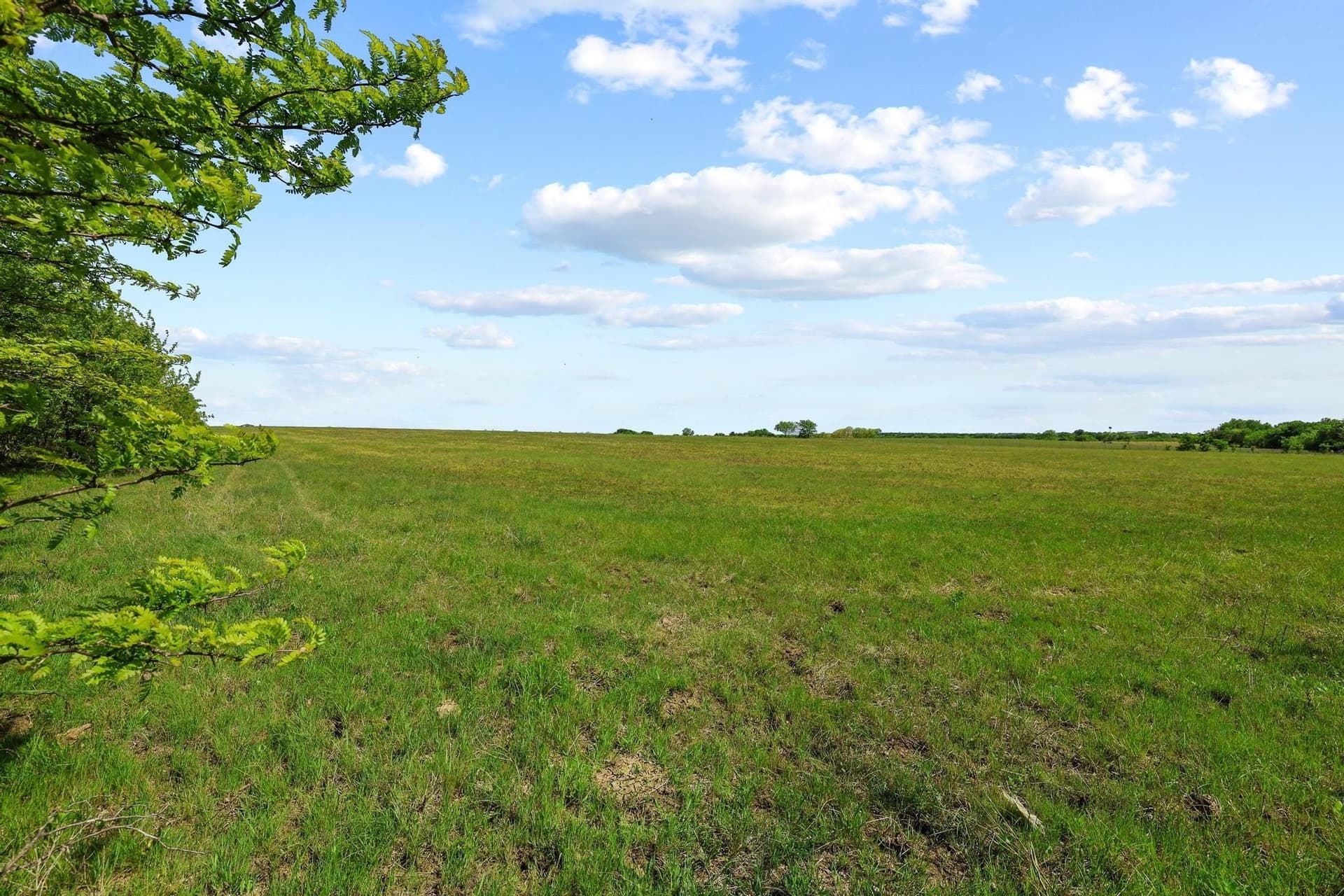 15.87 acres in Grayson County - photo 20