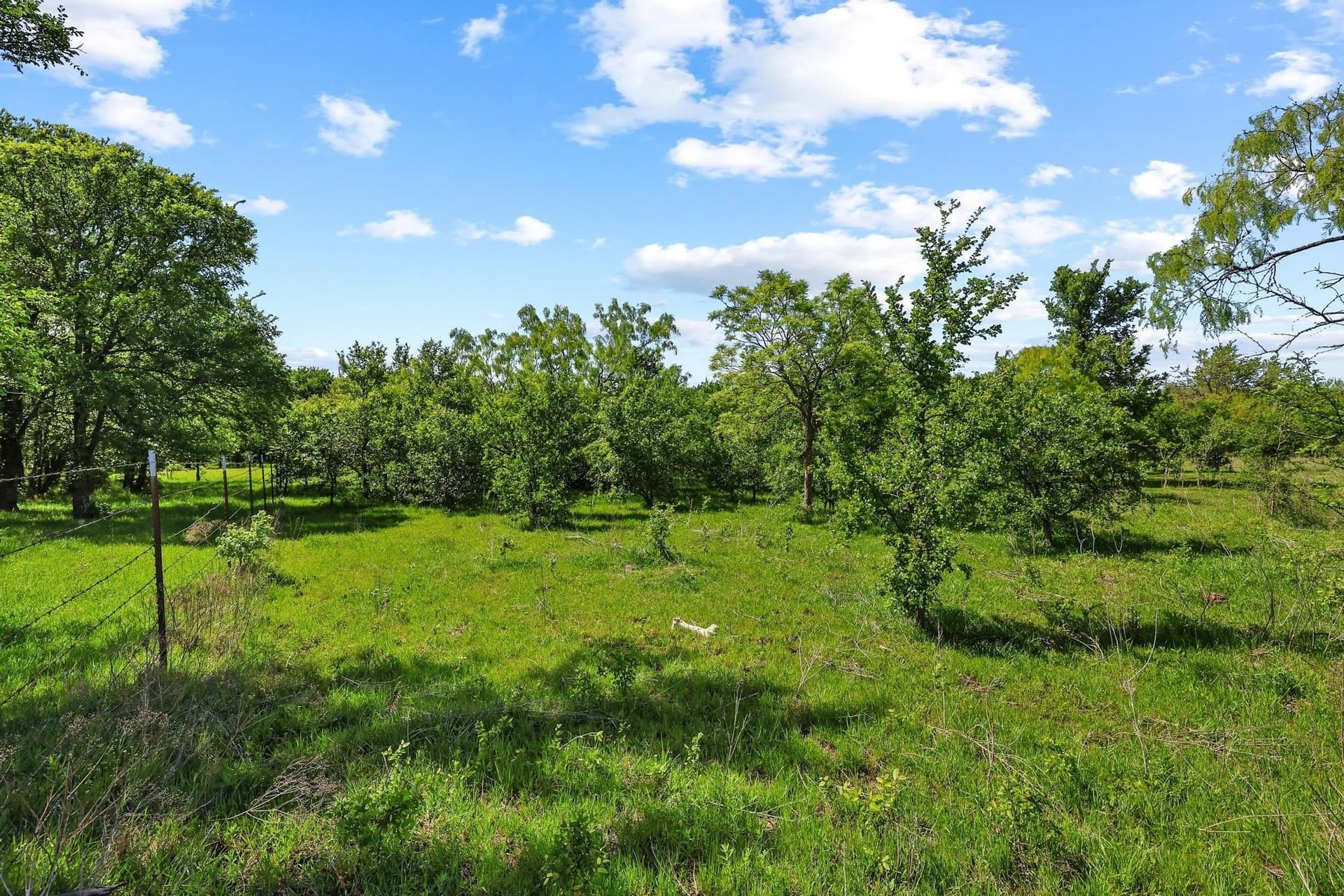 15.87 acres in Grayson County - photo 5