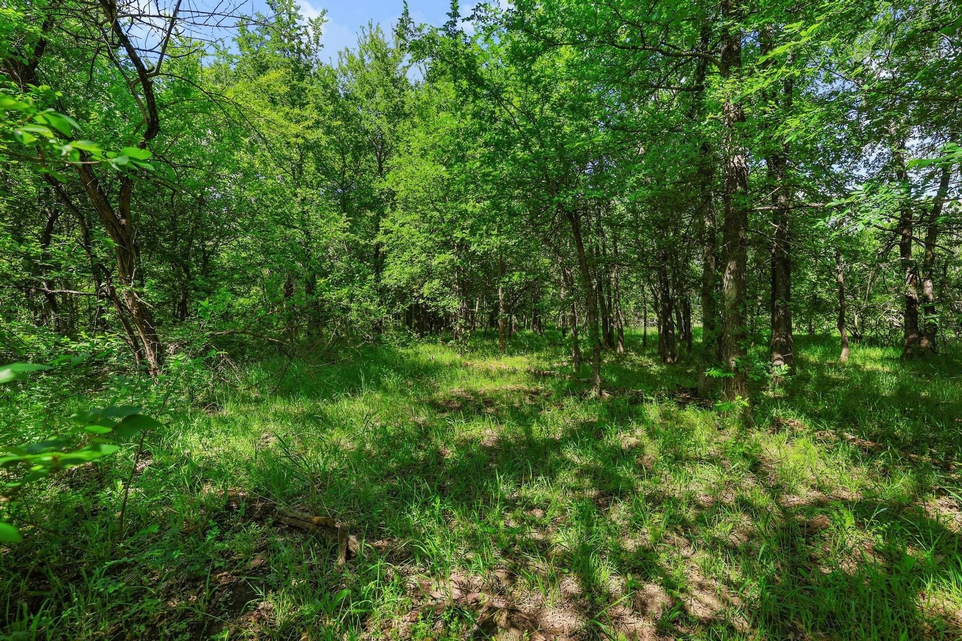 15.87 acres in Grayson County - photo 18