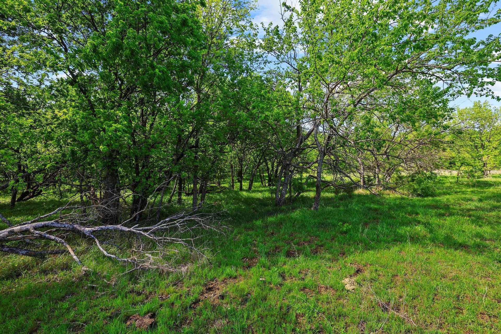 15.87 acres in Grayson County - photo 27