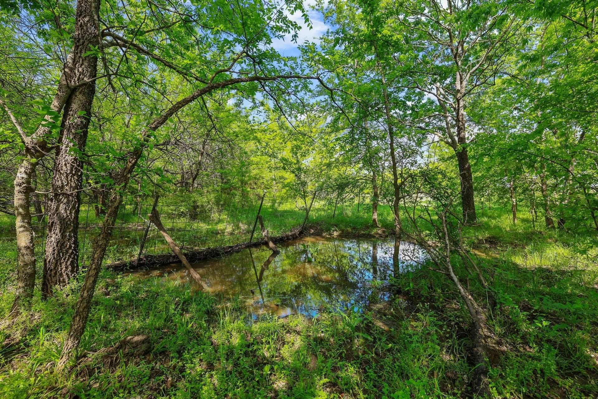 15.87 acres in Grayson County - photo 7