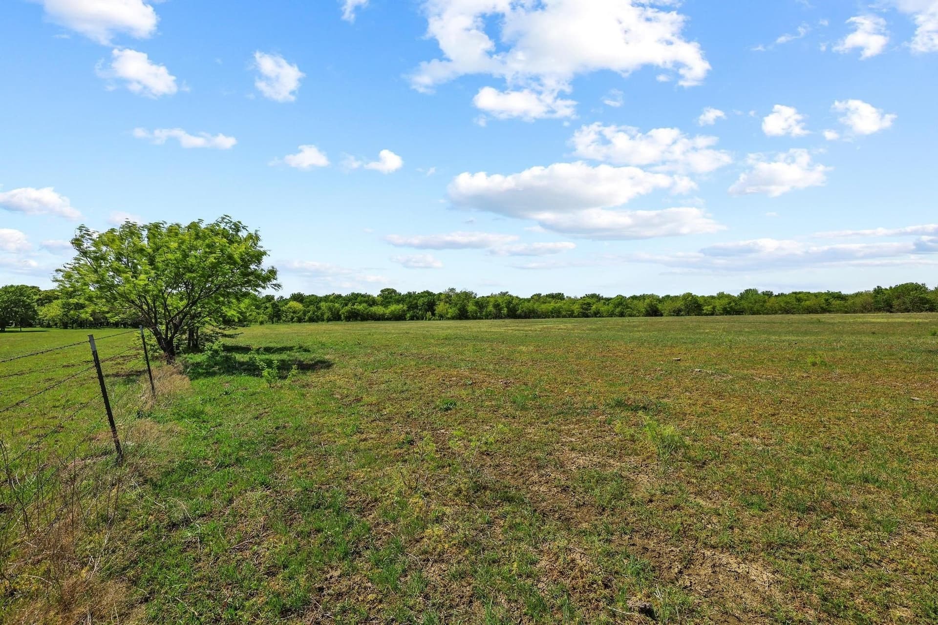 15.87 acres in Grayson County - photo 13