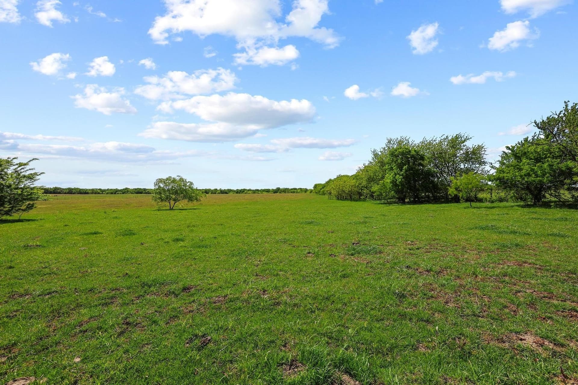 15.87 acres in Grayson County - photo 4