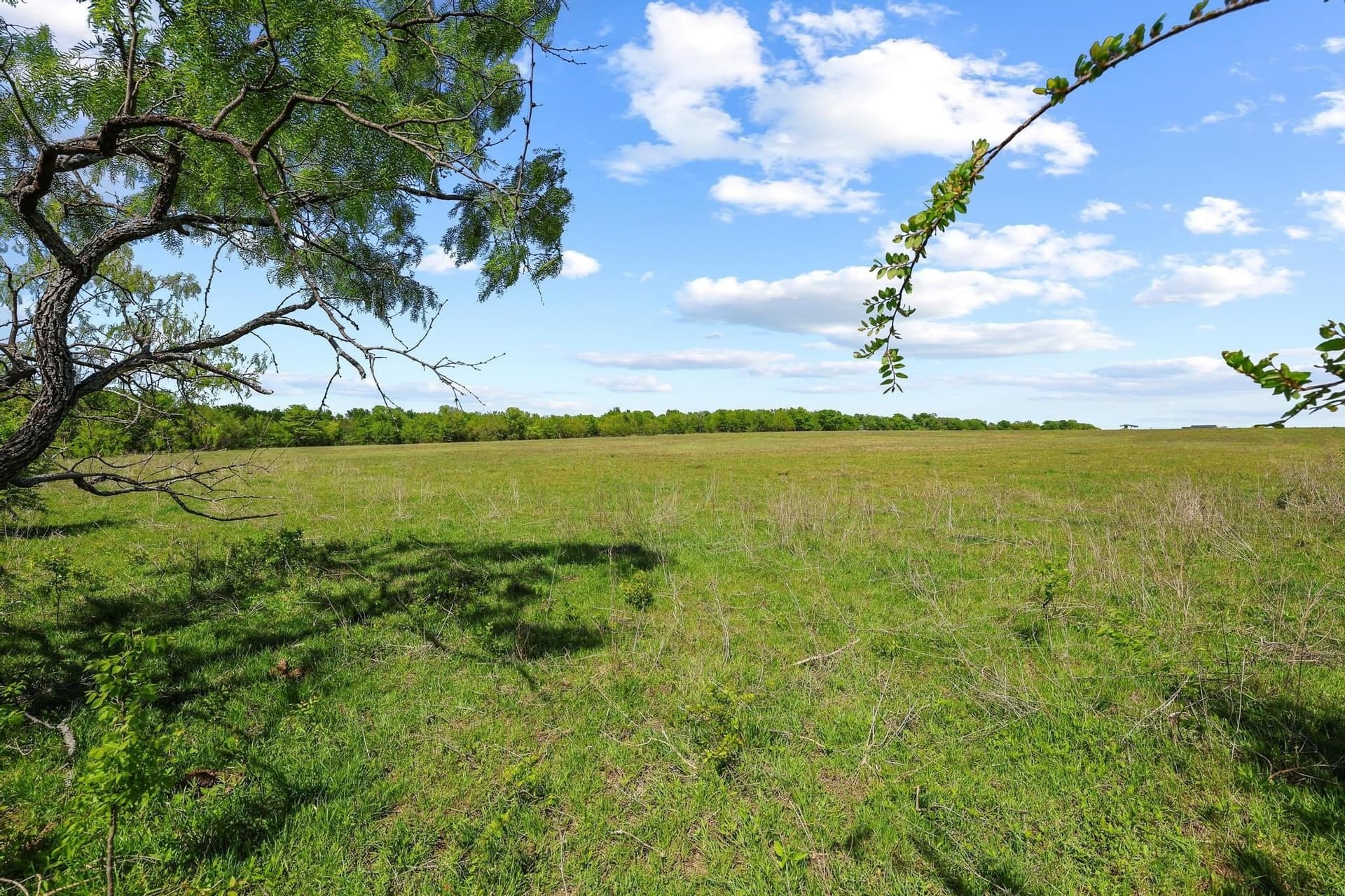 15.87 acres in Grayson County - photo 15