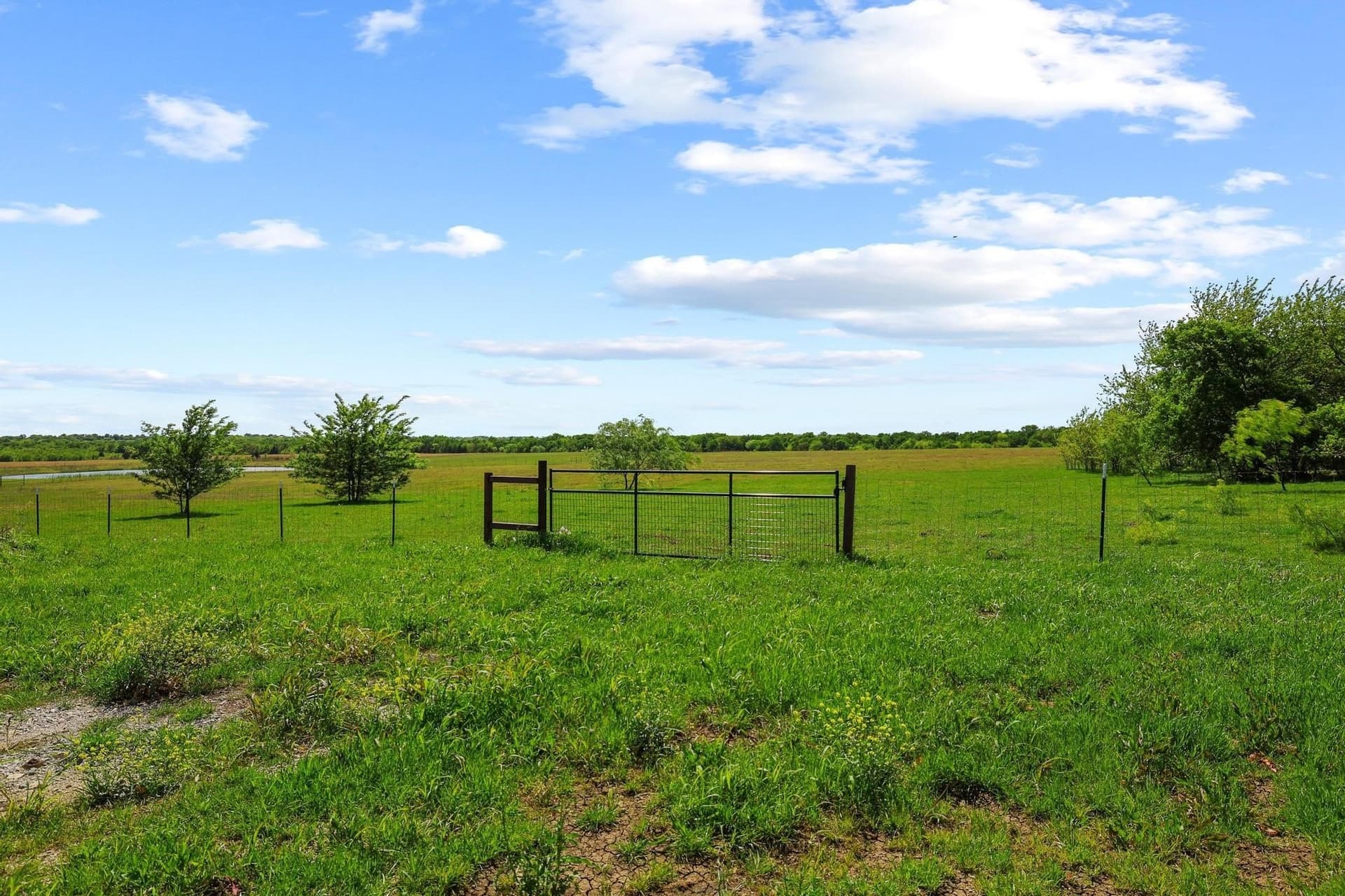 15.87 acres in Grayson County - photo 12