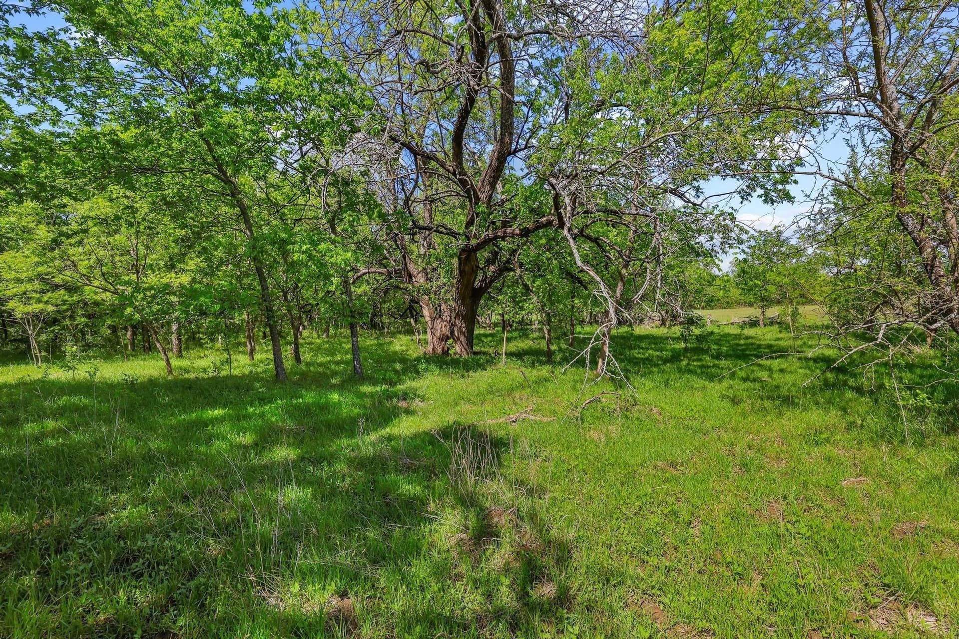 15.87 acres in Grayson County - photo 19
