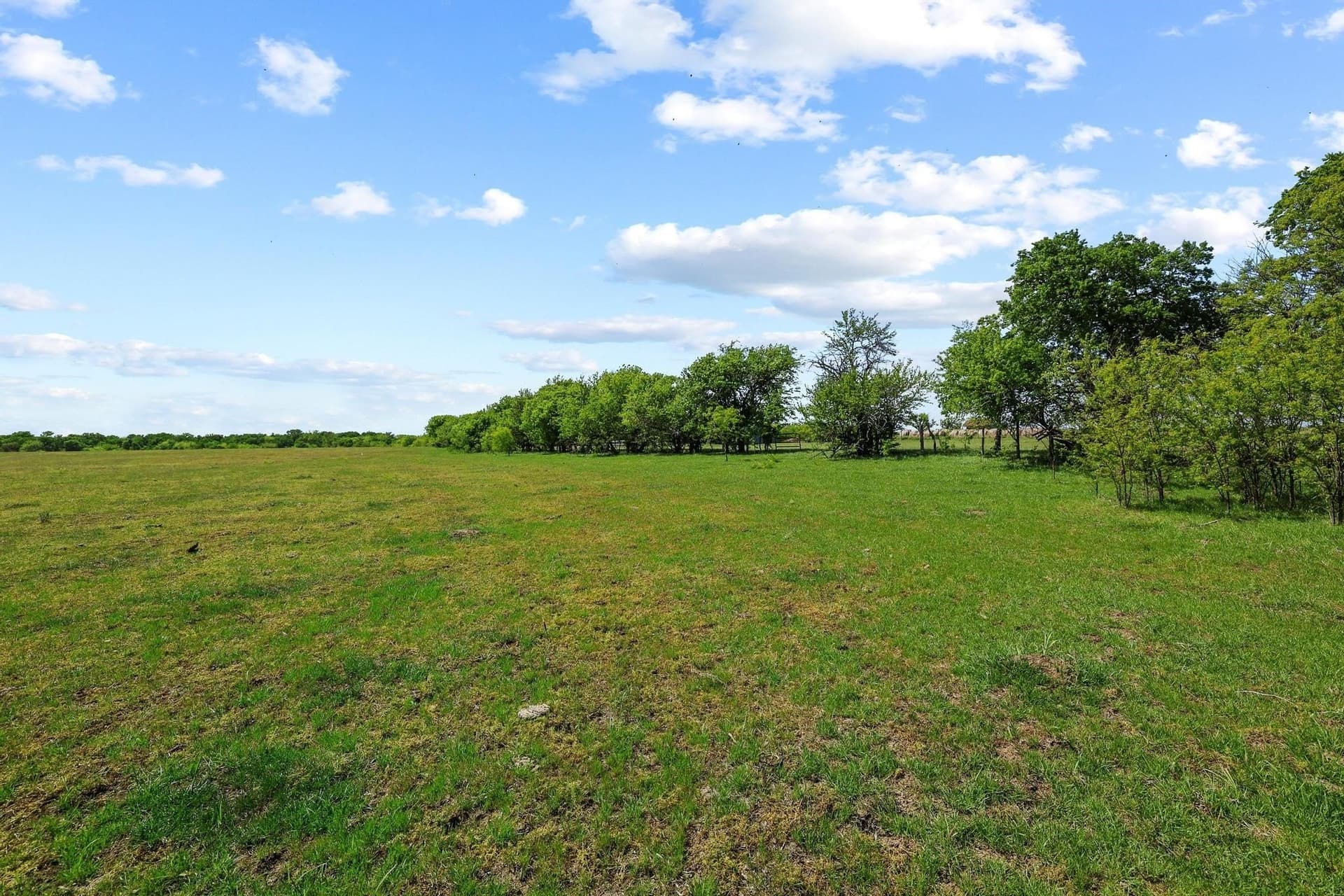 15.87 acres in Grayson County - photo 3