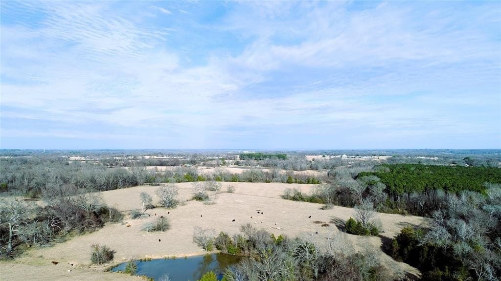 100.06 acres in Van Zandt County gallery image 3