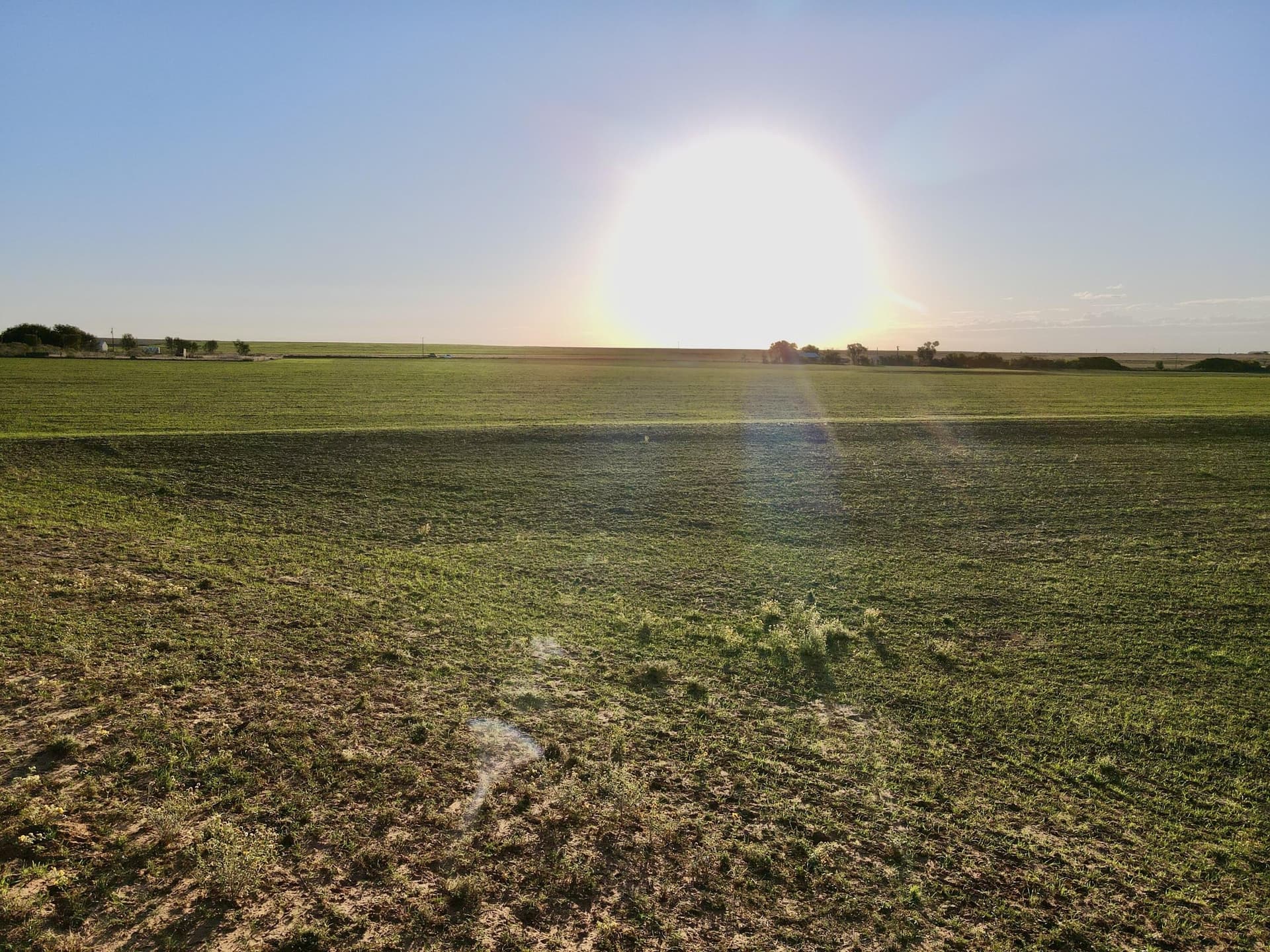 20 acres in Hall County gallery image 4