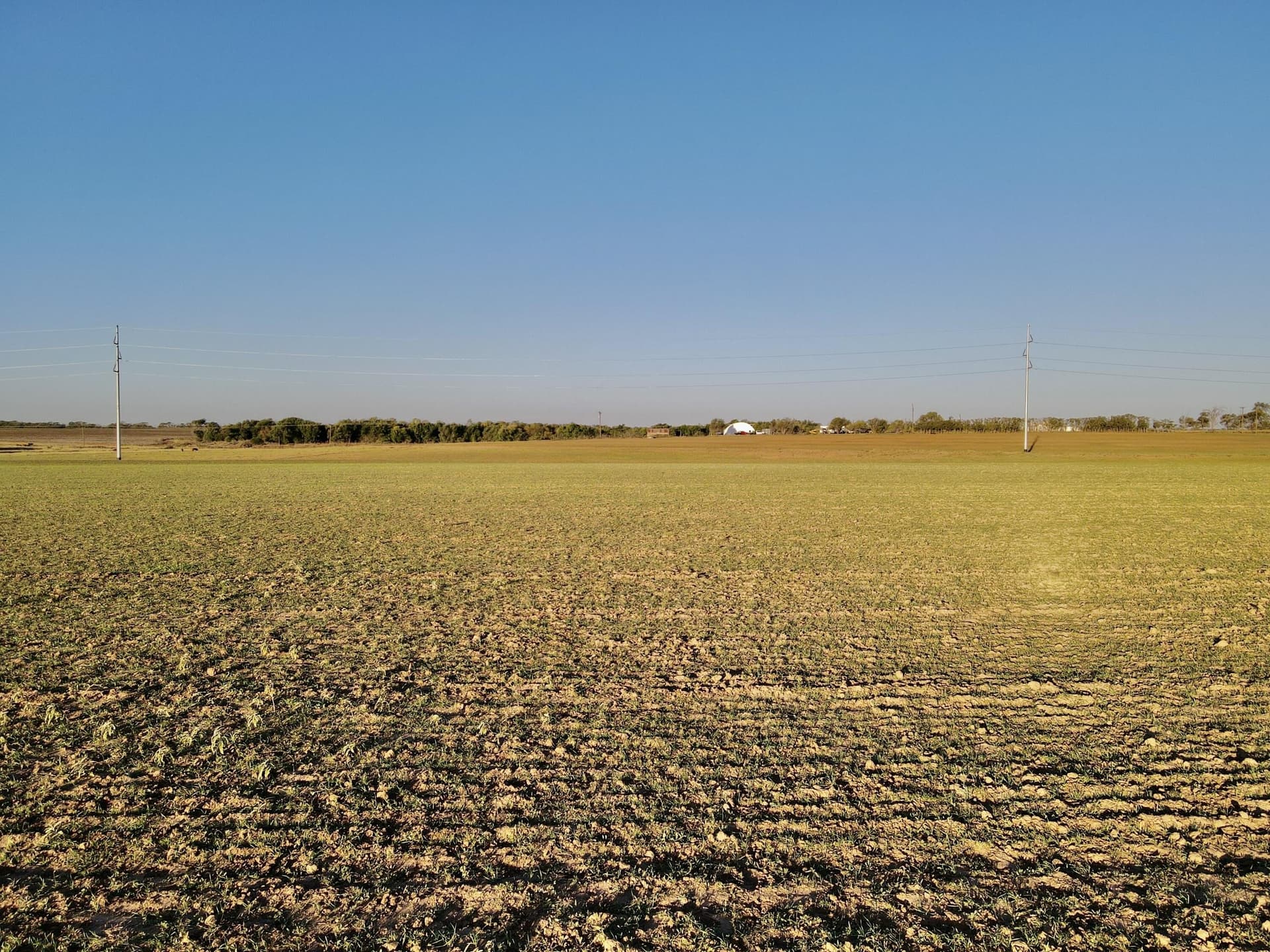 20 acres in Hall County gallery image 2